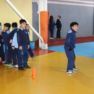 Día de la Actividad Física